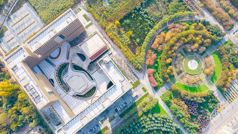 继电器寿命之谜：揭秘影响继电器使用寿命的关键因素**