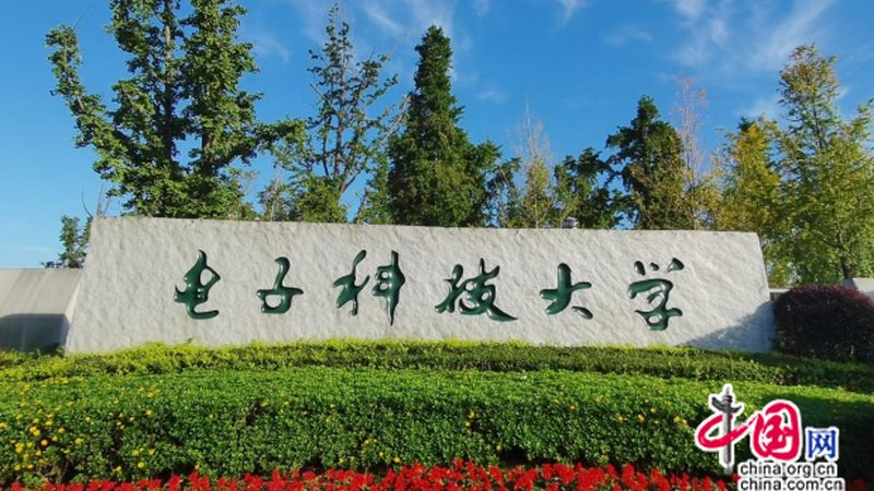 连接器选型：材质与尺寸如何匹配应用场景**